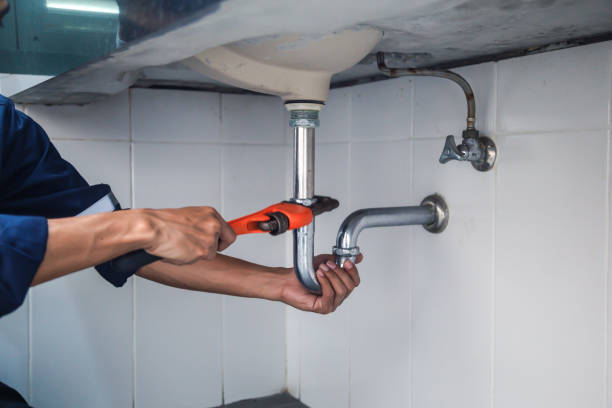 Best Plumbing Services Near Me  in Egypt Lake Leto, FL